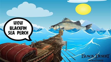 bdo blackfin sea perch|why is black sea called black sea.